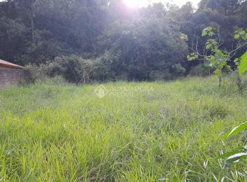 375184 - Lote · Terreno no bairro Santa Isabel