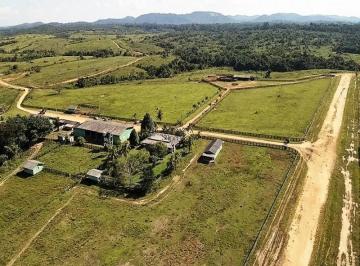 Foto 01 · Fazenda à venda em Trairão-PA, bairro Trairão, 4.040ha de área! A oportunidade dos seus sonhos!
