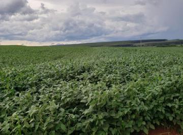 Rural de 8 quartos, Nantes · FAZENDA COM LAVOURA E PISTA