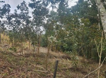 261024_ibNP973_26102468702cc339336.jpg · Chácara com 2 hectares a venda na Linha Antão!