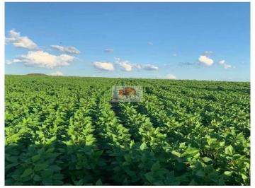 5ab2223f25a4ae19bb657a453e06d146.jpg · Fazenda na região de Itacajá - TO, com 2816 hectares, dupla aptidão, com 830 hectares em pasto