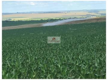 a777c28d35c3631af82cd09f19793256.jpg ·  Fazenda com 2.200 hectares, com 1476 hecatres de plnatio