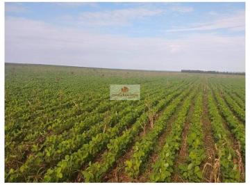 67015241db3f0557b7b715bfcbb97ff9.jpg ·  Fazenda com 44000 hectares, MATOPIBA, soja