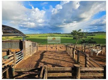 b325bc7696c5ff25e815fdb48c4b9969.jpg · Fazenda na região de itupiranga-PA, com 9.680 hectares, com 6.770 hectares de pasto (80% agricultáve