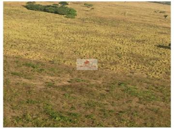 233155613690ffc025dd15f41baea14f.jpg · Fazenda com 9500 hectares, com 2 sedes