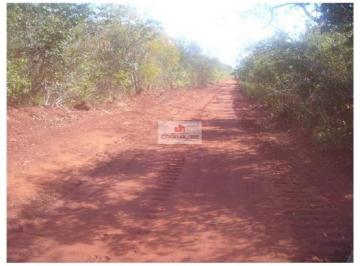2ad9df701d56a3a37b9b3cd9d443720d.jpg · Fazenda com 10 mil hectares, terra bruta, dupla aptidão