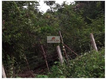4bbe62f5888c78b17b10ca5308b89913.jpg ·  Sitio com 8 hectares (100x800)