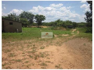 27c9d833973b33a05221f0e5af753353.jpg · Fazenda com 164 hectares, dupla aptidão, área de aluvião, na margem do rio Gurgueia (40 hectares)