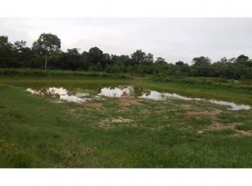 06698f78736b6e452d9e425383b3c946.jpg · Fazenda com 120 hectares, casa com 3 quartos