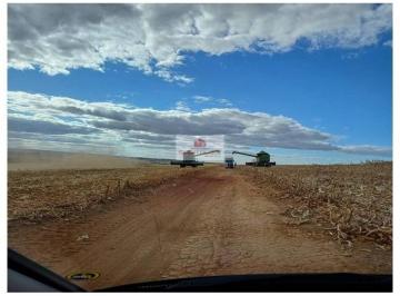 07bec37c2abe2007f00e21d3e06123bf.jpg · Fazenda com 2400 hectares, na região de São João Da Aliança, com 1750 hectares em plantação