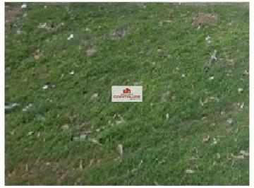 9efd9d04f075210f99c4417e0d02c88b.jpg · Terreno de (42x30), 3 lotes juntos