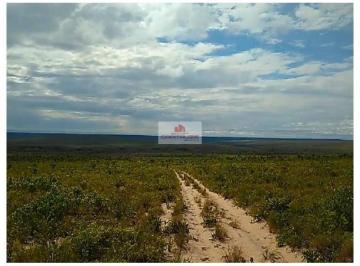 be00cba08ee9feb8d68c0d78930ea0cc.jpg · Fazenda com 3.678 hectares, dupla aptidão, terra bruta, própria para o cultivo de soja