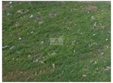 313f0df1978b80289391be4bde5feda7.jpg · Terreno de 30x100, na Avenida Presidente Kennedy, região zoobotânico