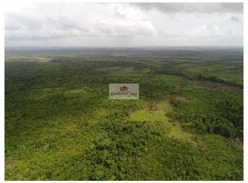 b276a82c3ee628641ca8e731a0f7f6a9.jpg · Fazenda na região de Turiaçú-MA, com 5 mil hectares, terra bruta