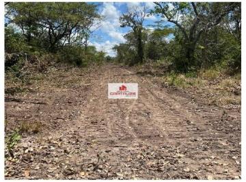 9670e4e49eac71e82645bc863aee1822.jpg · Fazenda com 6060 hectares, dupla aptidao,