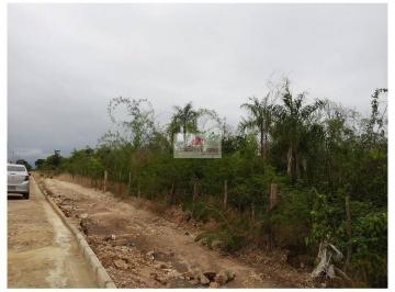cbc2eb8f4e19c8034f2d9713e679b3ca.jpg · Terreno Urbano, com 22 hectares, na BR-316