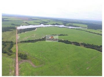 8d903e8d34b1a155ce35e2332643247a.jpg · Fazenda na região de Cocalinho-TO, com 17.125 hectares, com área aberta de 12.000 hectares