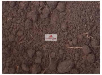 bc155e717a6cac8cd82a622d27a95434.jpg · Fazenda com 300 hectares, terra bruta, dupla aptidão
