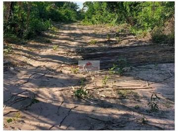 af9f9a5fe3be6c93ff0017456d7e86e3.jpg · Terreno rural com 7 hectares, com fruteiras, cercado