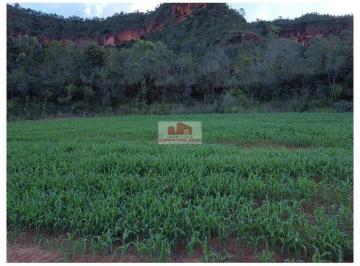 177737e57d8fbe2ae718e60d9627d983.jpg · Fazenda com 11.000 hectares, dupla aptidão, com 55% de aproveitamento para lavoura