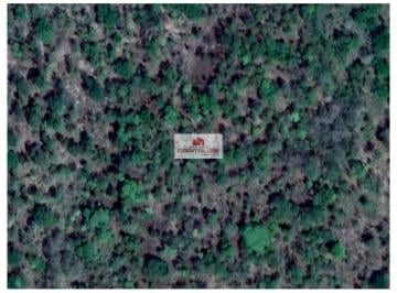 315dfabf0e7589ea36ec795b3c4c170f.jpg · Fazenda com 404 hectares, terra bruta, dupla aptidão