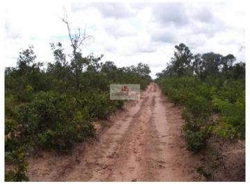 d1b56b248ca3c922d13ae52854afffd0.jpg · Fazenda com 11.000 hectares, terra bruta, dupla aptidão, na margem do rio Parnaíba