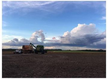 24890e663fefa6ee863b24b04e5ddb30.jpg · Fazenda com 4808 hectares, plantando 1800 hectares, com 750 hectares de pastagens e 300 hectares enl