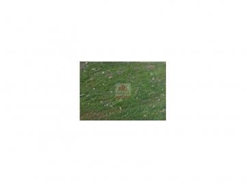834f37759d49901dbe2c4af0991c9752.jpg · Terreno de 2,59 hectares, na Avenida Melvim Jones, (65,86x 393,69).