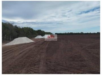 5038289096c72e71fed2dae870bd77d0.jpg · Fazenda com 550 hectares, dupla aptidão, estruturada para pecuária