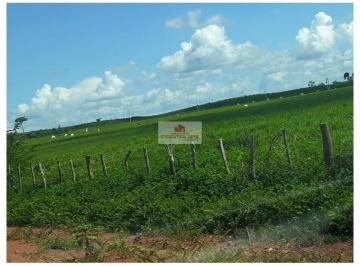 b9948890564f041515a4476a329aa515.jpg · Fazenda com 60 mil hectares, sendo 48.500 hectares em pastagens