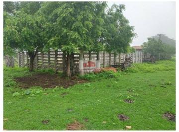 606d98c204e70ea04791a4a7e2161897.jpg · Fazenda com 250 hectares, dupla aptidão, com 2 casas
