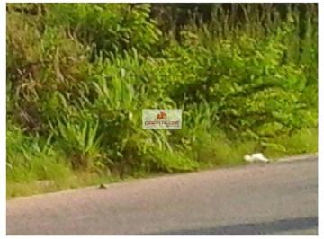 2554169b95084462dc95a739bec32041.jpg · Terreno, 5 hectares