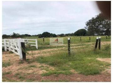 834a5ab16f445f563ebb49cca8317c6f.jpg ·  Fazenda com 550 hectares