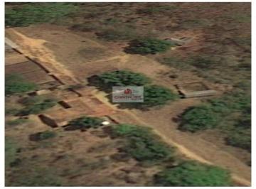 2445059564f078d59e027ea942bd07c0.jpg · Fazenda 1400 hectares, dupla aptidão, terra bruta