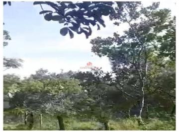 9126767415c0bc7b6743cdc89d793183.jpg · Fazenda com 4100 hectares, dupla aptidão Área bruta
