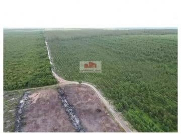 04a6a5ec23cbecc51080519ead1715fc.jpg · Fazenda com 2840 hectares, dupla aptidão, terra bruta, própria para o cultivo de grãos
