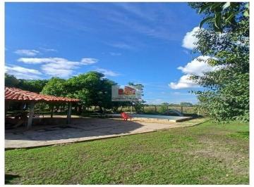 6663d6551cecc6cb372f782f1315dc36.jpg · Fazenda com 1440 hectares, dupla aptidão (arroz, milho, mandioca, soja, e pecuária)