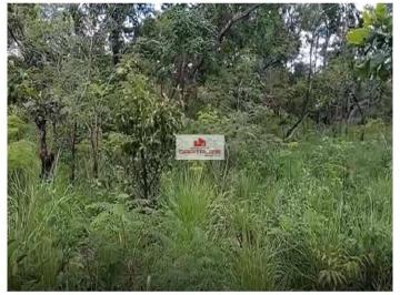 ae929e08d6a869e92824bf368134980c.jpg · Fazenda com 3821 hectares, terra bruta, própria para pecuária