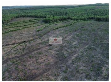 35219402bf13786700b892e6ac46f2ce.jpg · Fazenda com 970 hectares, na região de Timon-MA, com 970 hectares, dupla aptidão, distante 35km da z
