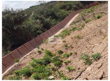 5c399fc6a7f82a4dafe2ec98e7d48461.jpg ·  Sitio com 6600m2, no loteamento árvores verdes