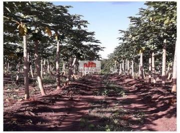 74e841f5f1ade46160c4f256faaf3eef.jpg · Fazenda com 900 hectares, dupla aptidão, com aptidão para a produção de grãos, com 4 glebas juntas