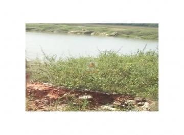 208604f8baf591ebdb44d9d5f961793a.jpg · Vende o direito de exploração de Jazida de Granito (brita)
