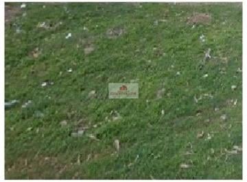 16a3be76f6fe61dfe4c9d25ce633d92a.jpg · Terreno, 2.000m2