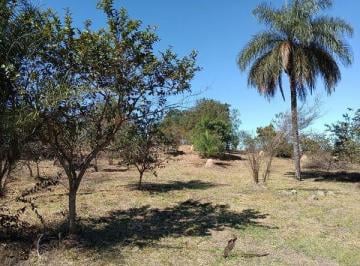Comercial · TERRENO- ARTUR NOGUEIRA/HOLAMBRA