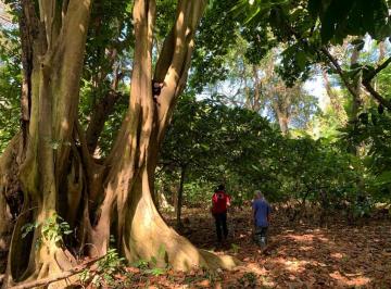 Rural de 2 quartos, Porto Seguro · Fazenda a venda Arraial Trancoso