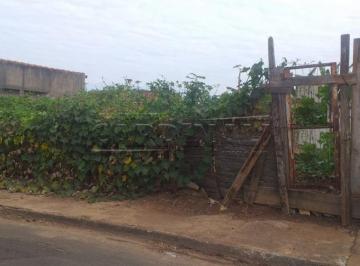TERRENO · Terreno Padrão em Araraquara