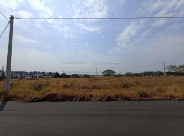Terreno · Terreno Padrão em São Carlos