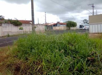 10b6cbd4e33977fb811380b36d146370.jpg · Terreno Padrão em São Carlos