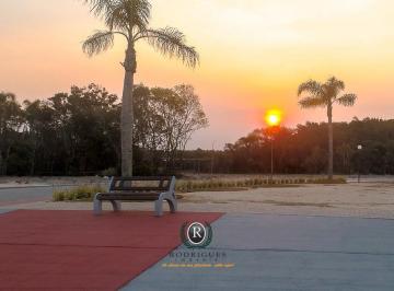 22455966_4.jpg · Lote em Passo de Torres, Mar, Paz e Valorização