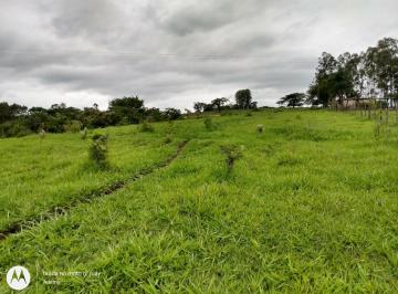 Foto 01 · Sítio 5 Alqueires, Rica em Água com Córrego e Nascente, Sem Benfeitorias, Ótima Localização, Fácil A